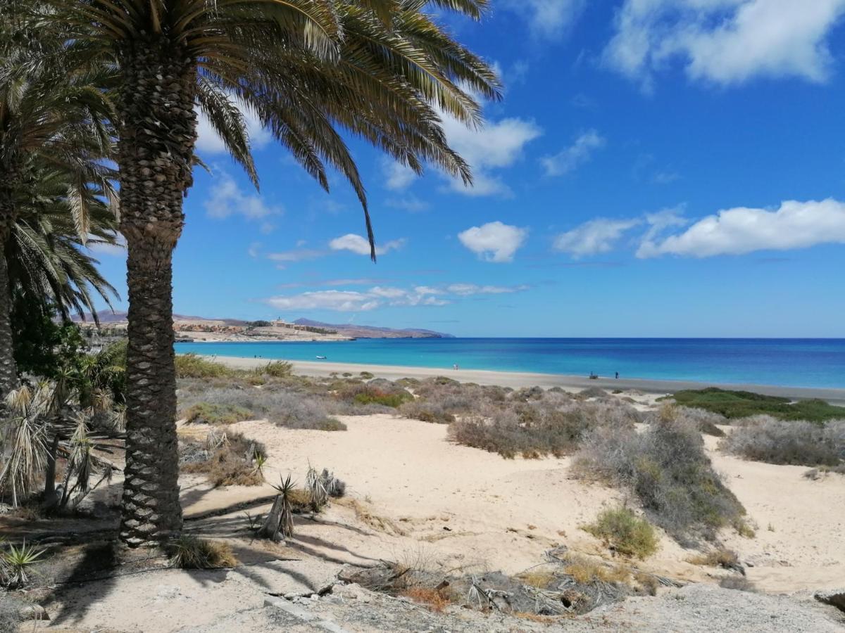 Fisherman S Cove Daire Costa Calma Dış mekan fotoğraf